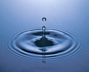 Water: The Essence of Life