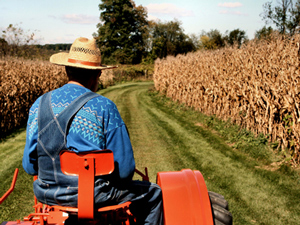 farmers300x225_2.jpg