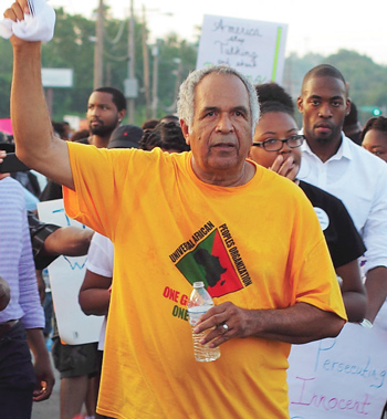 'Justice for Mike Brown' activist seeks top county office